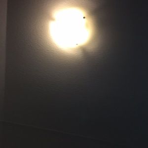 Meet your Posher, Devin